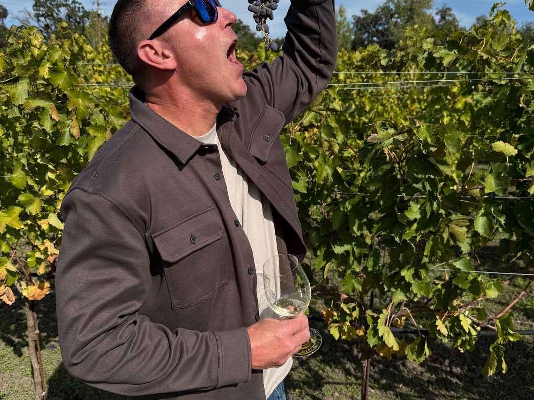 Hill Family Estate-扬特维尔必去景点