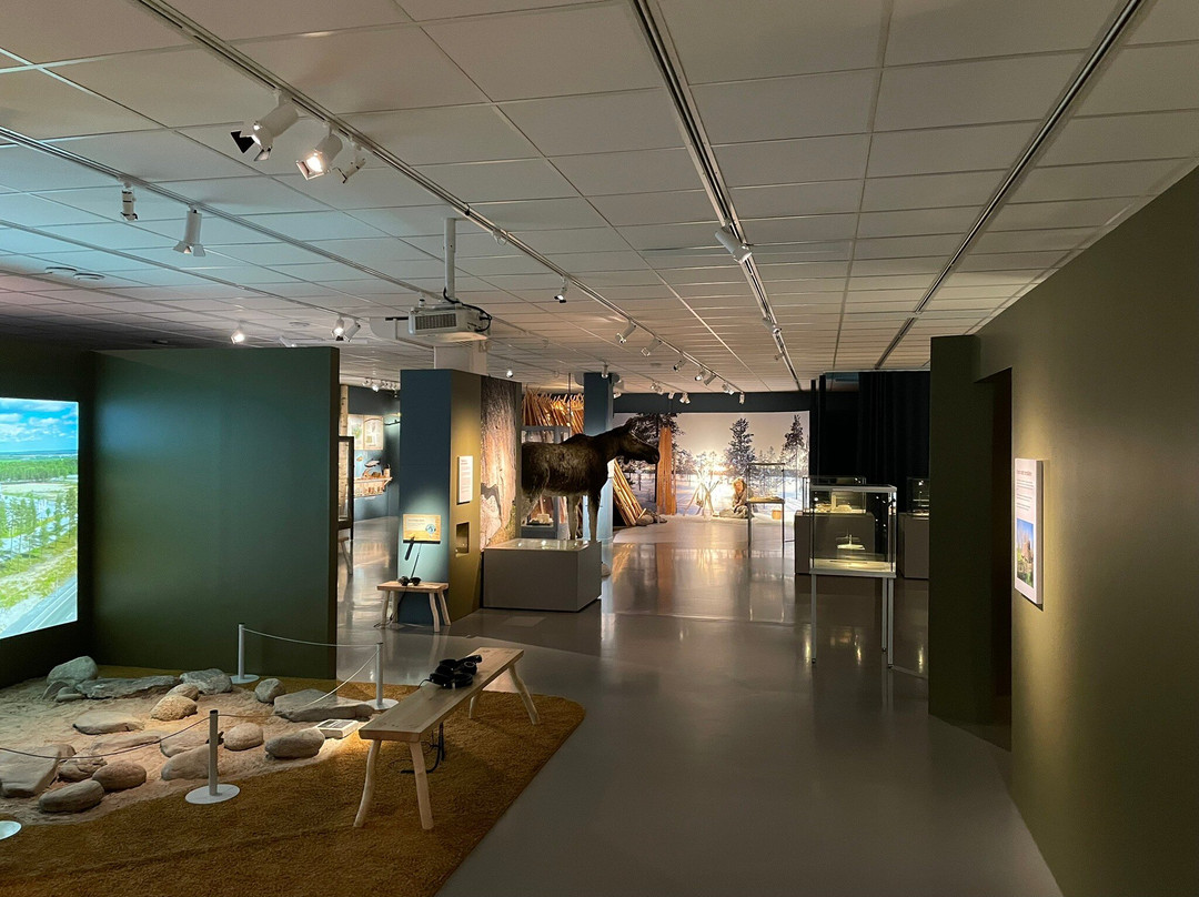 Vasterbottens Museum-于默奥必去景点