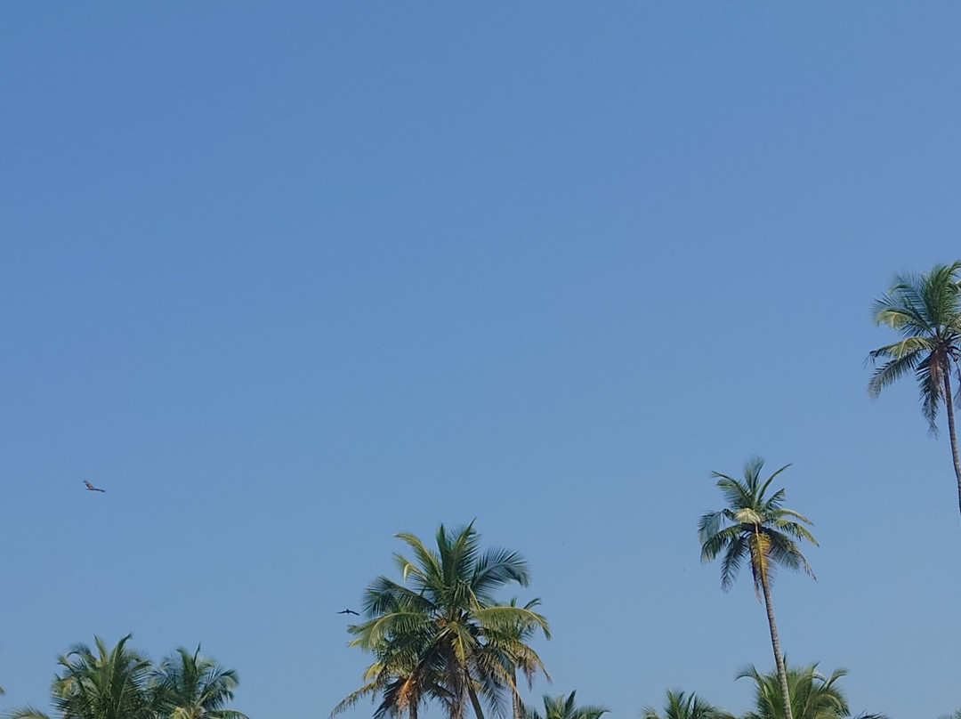 Caranzalem Beach-巴拿吉必去景点
