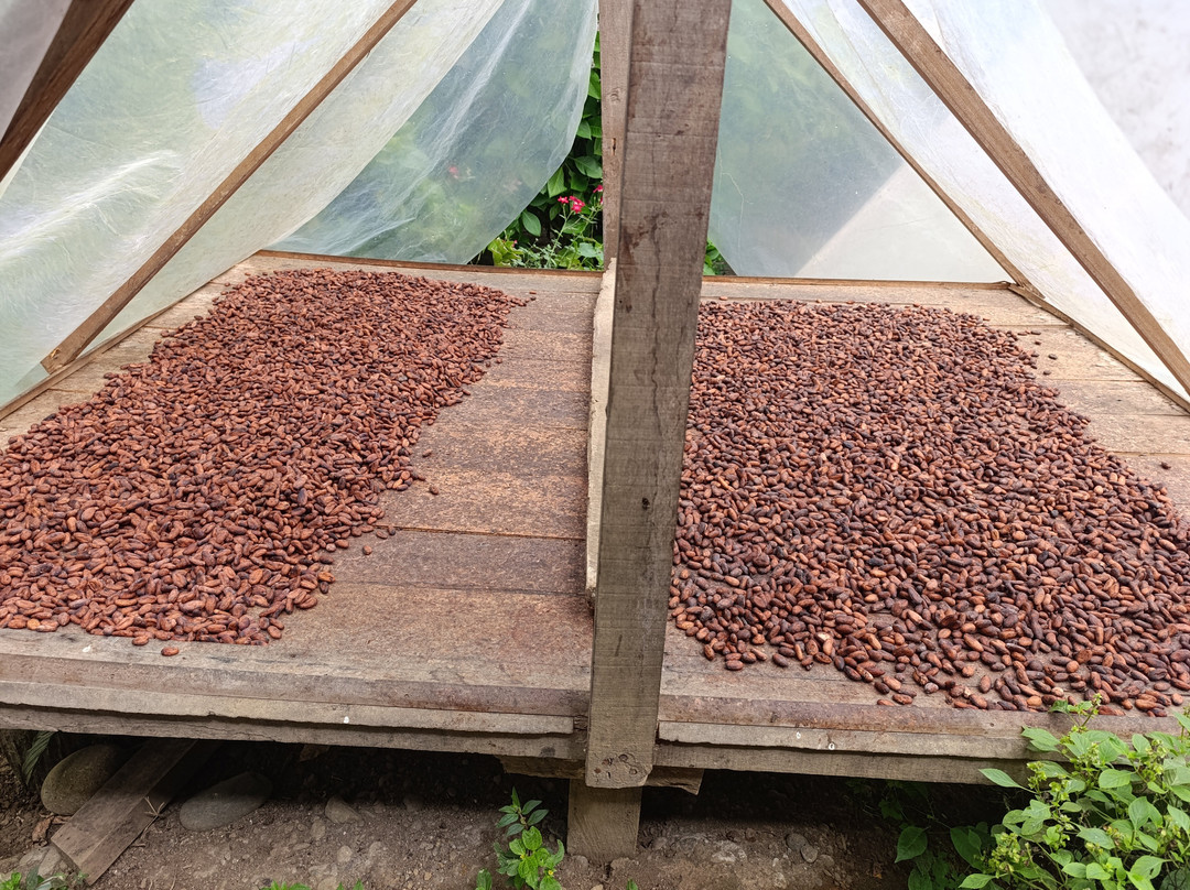 Abel Bustamante - Tour Guide-Manzanillo必去景点