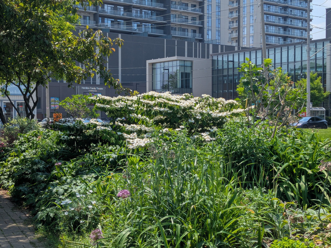 Cambridge Sculpture Garden-坎布里奇必去景点