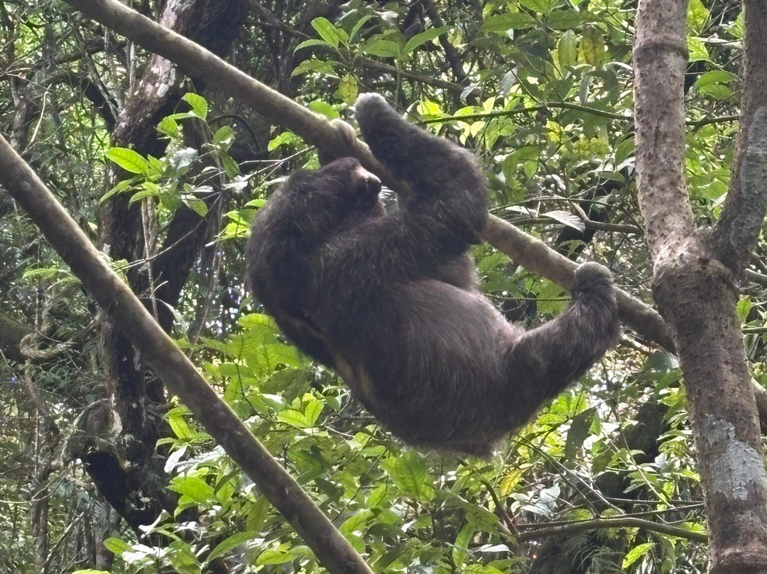 Step by Step Travel-Boca Chica必去景点