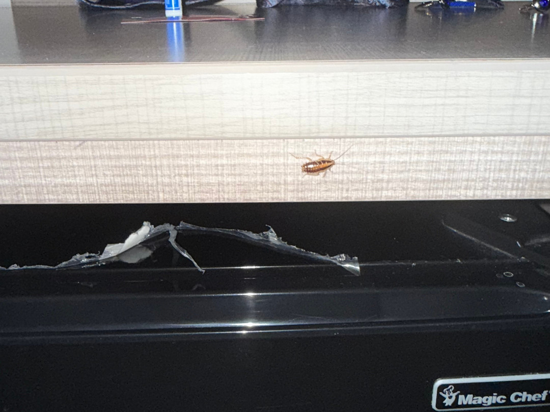 Red Roof Inn & Suites Newport - Middletown, Ri主图