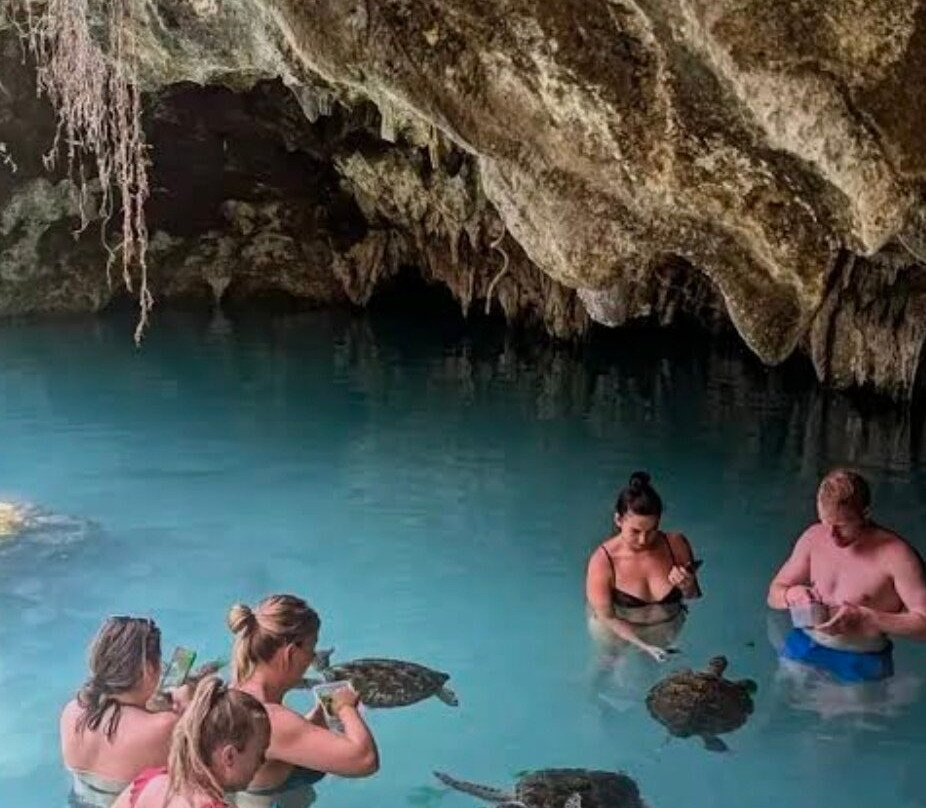 Salaam Cave Aquarium-Kizimkazi Dimbani必去景点