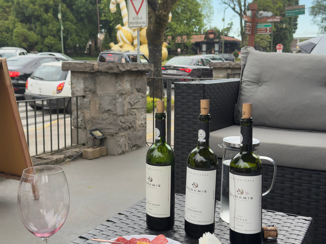 Loja - Dunamis Vinhos & Vinhedos-格拉玛多必去景点