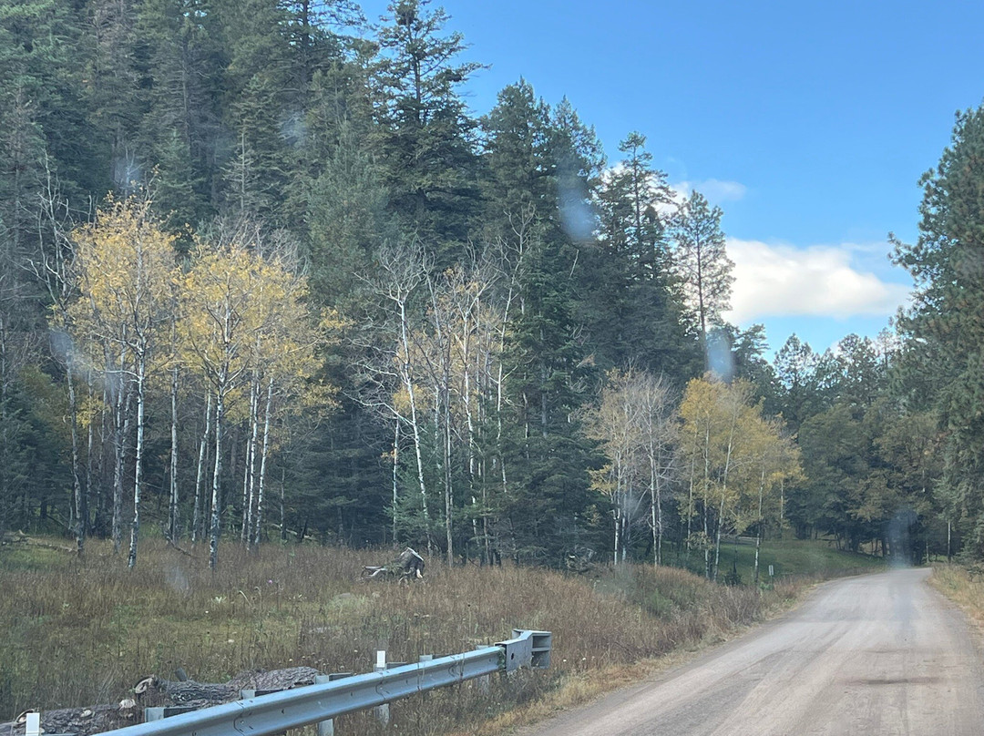 Best Western Plus Ruidoso Inn主图