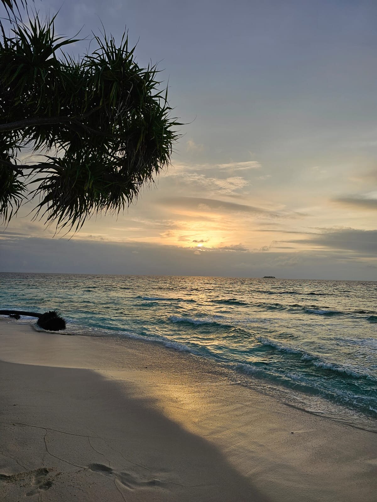 鲁滨逊俱乐部度假村-泳池