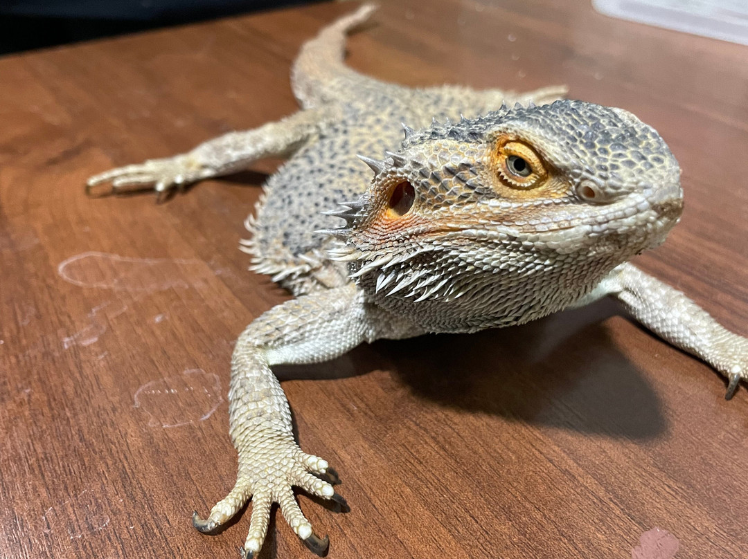 Tula Exotarium-图拉必去景点