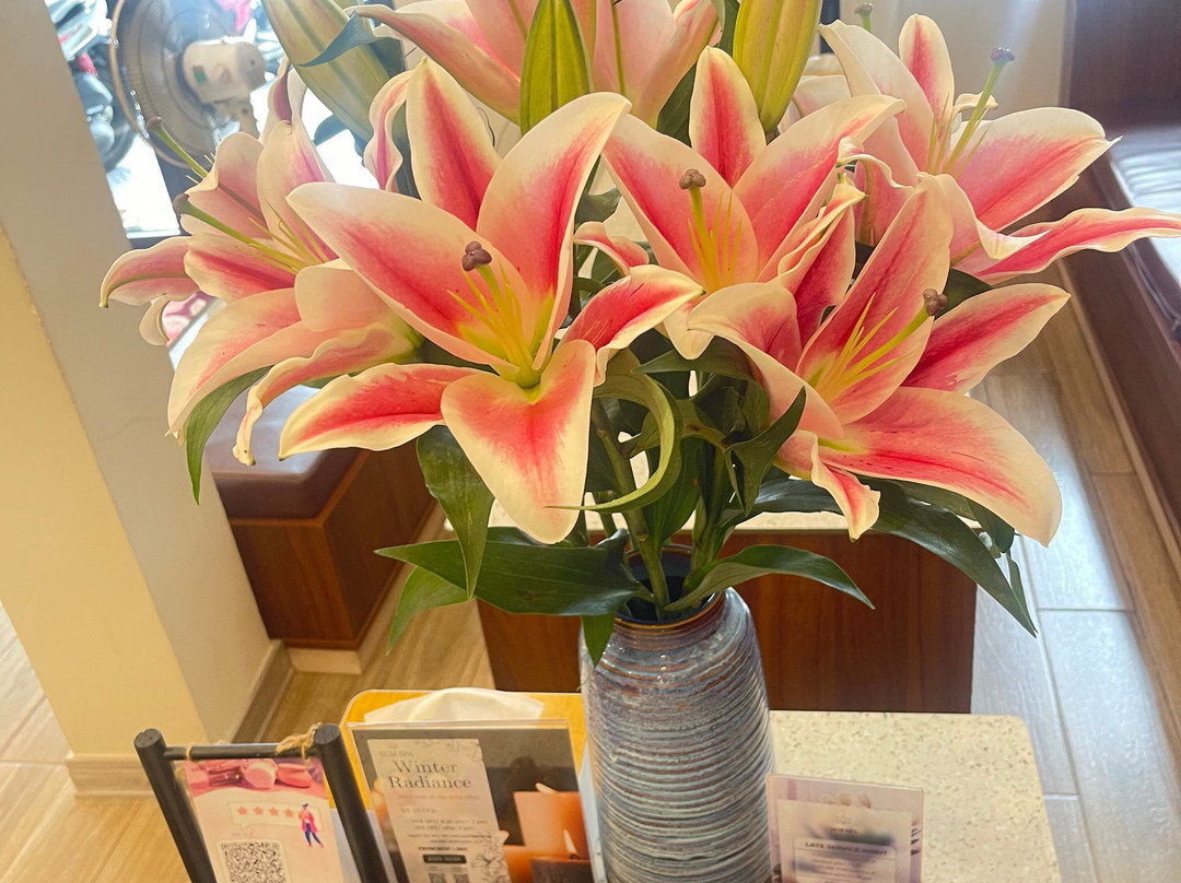 Sum Spa Danang-岘港必去景点