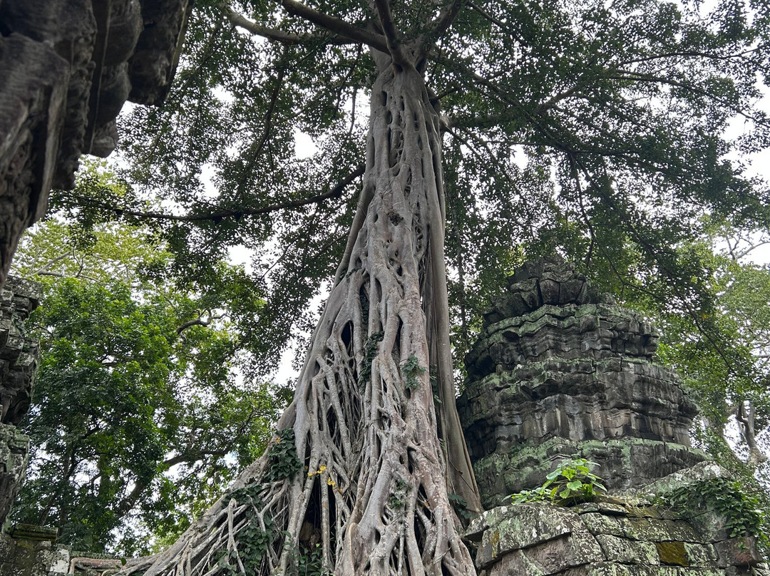 Mr. Kim's Angkor Wat Tours-暹粒必去景点