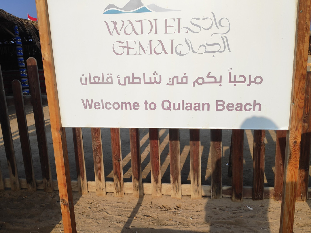 El Qulan Mangrove Forest-马萨阿拉姆必去景点