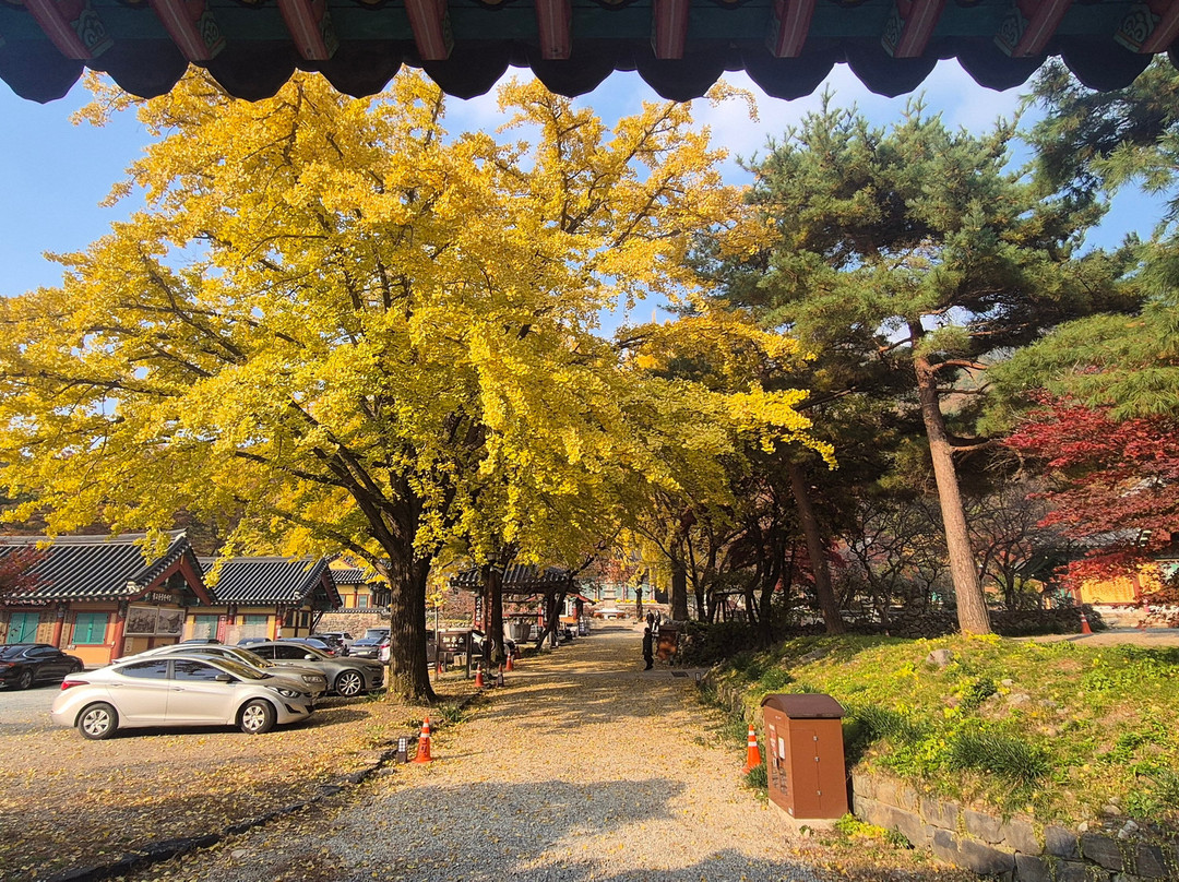 Shinwonsa Temple-公州市必去景点
