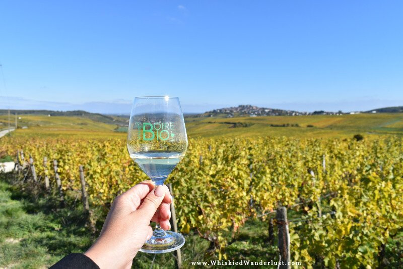 Vinitour Centre-Loire-桑塞尔必去景点