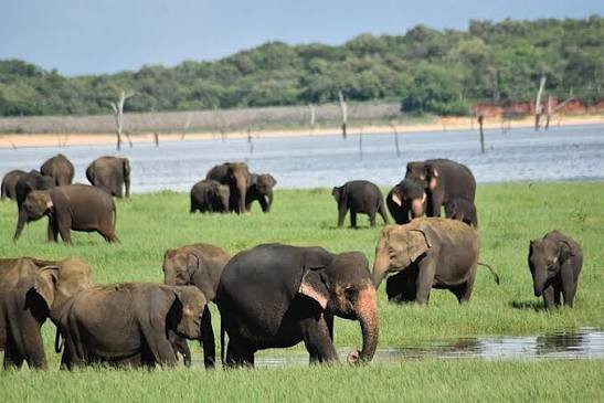 Sigiriya Ceylon Tours-锡吉里亚必去景点