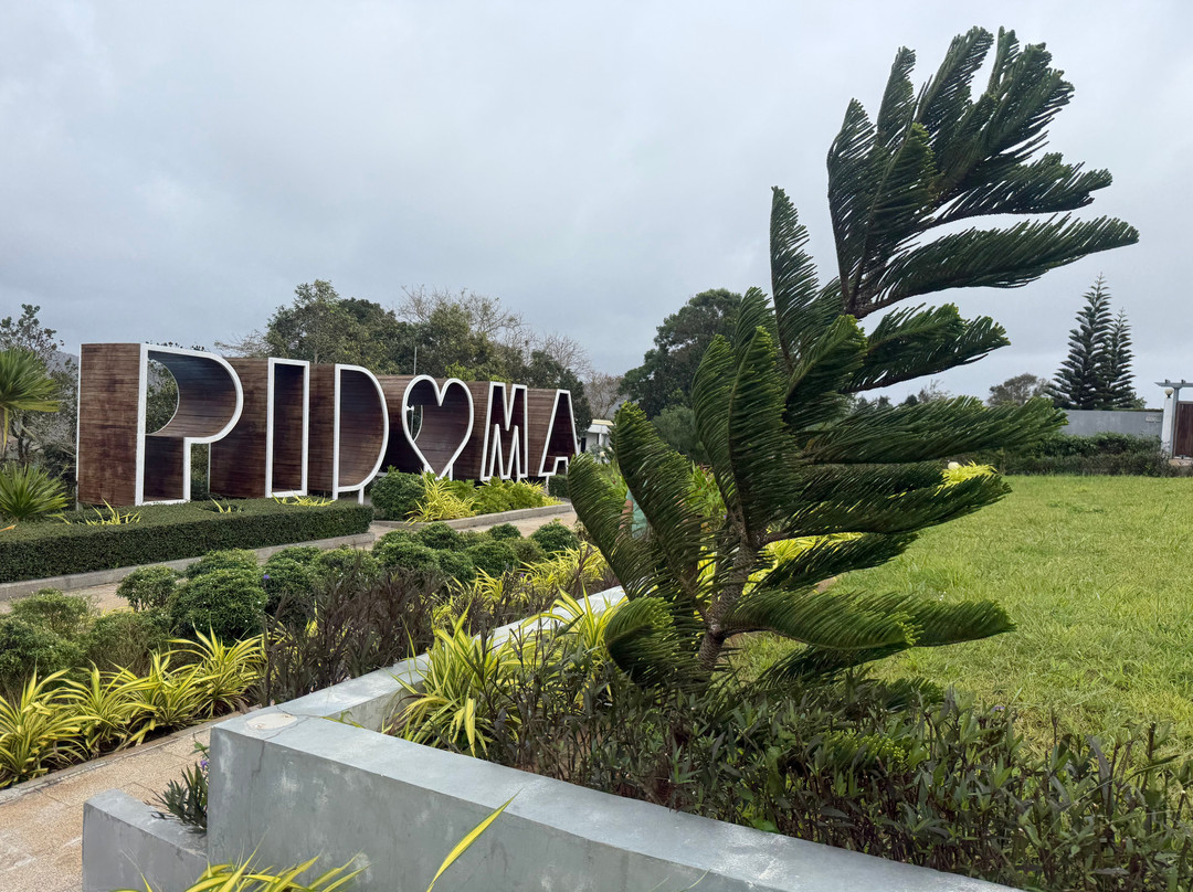 Pidoma Resort By Ehm主图