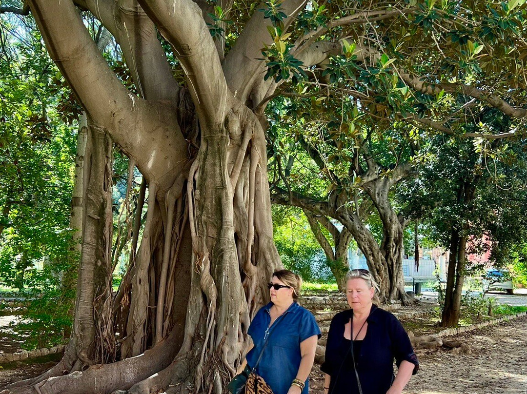 Orto Botanico di Palermo-巴勒莫必去景点