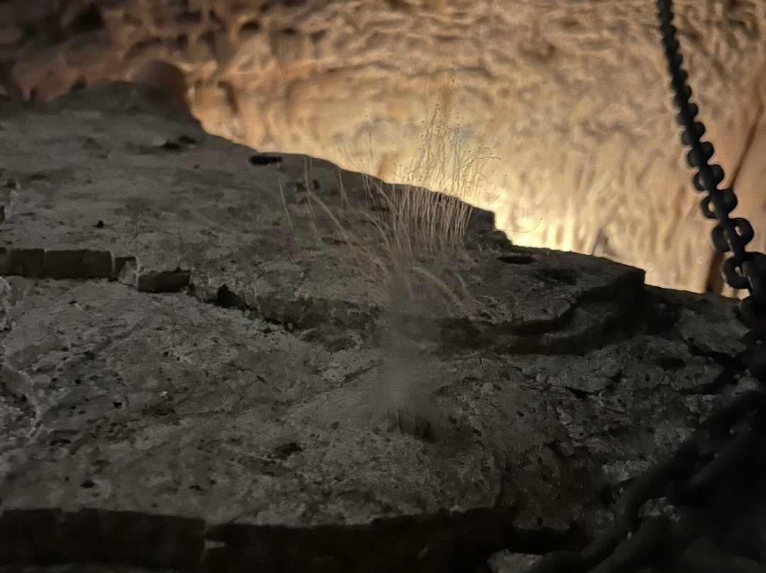 Maori Leap Cave-Kaikoura必去景点