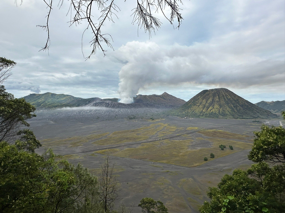 Private Driver Surabaya - Day Tours And Travel Guide-泗水必去景点