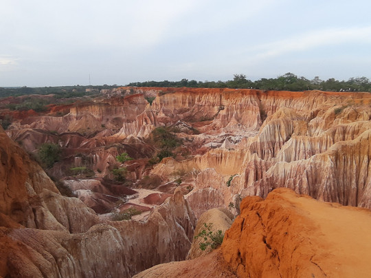 Black Elephanti Safaris-瓦塔木必去景点