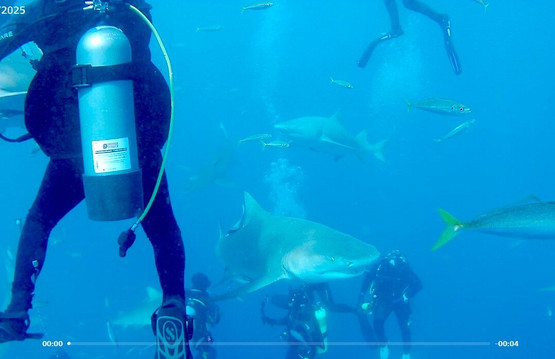 Emerald Charters-朱庇特必去景点