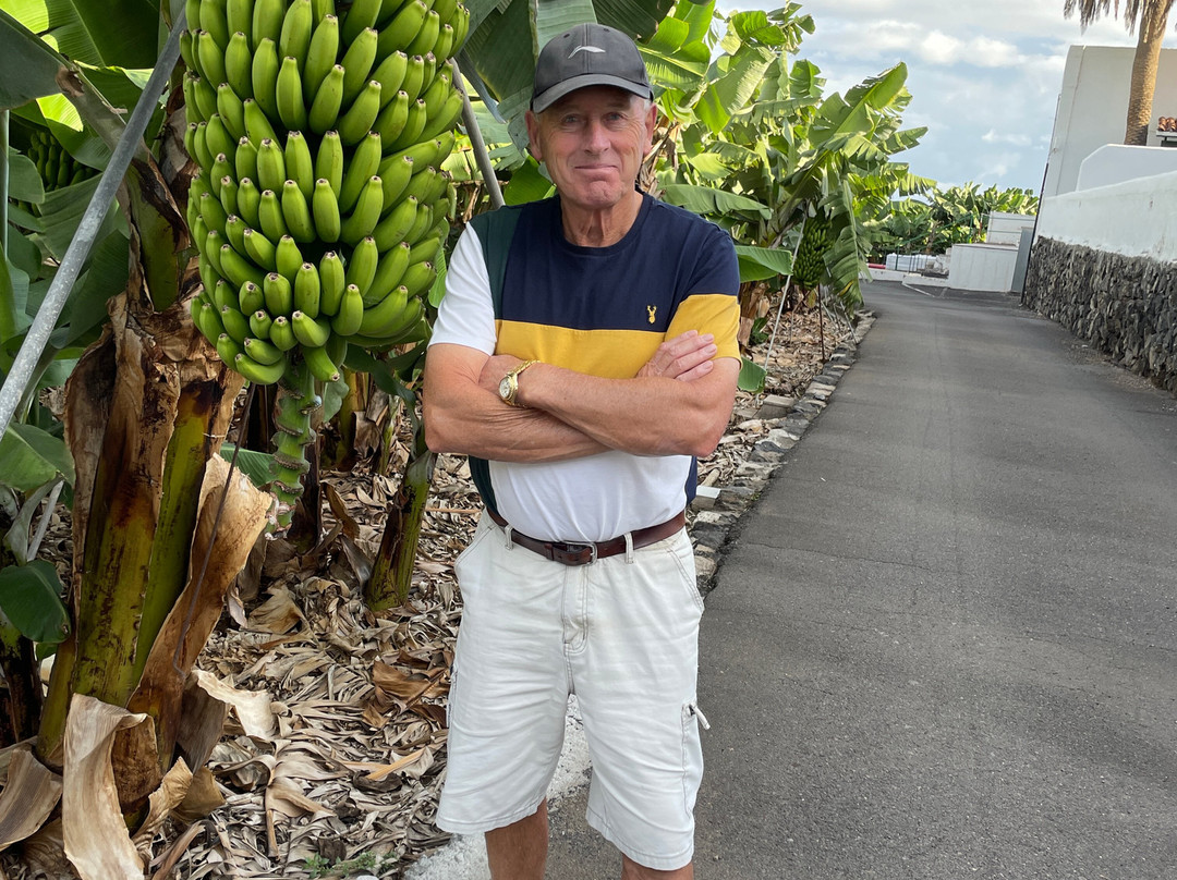 Hotel El Patio主图