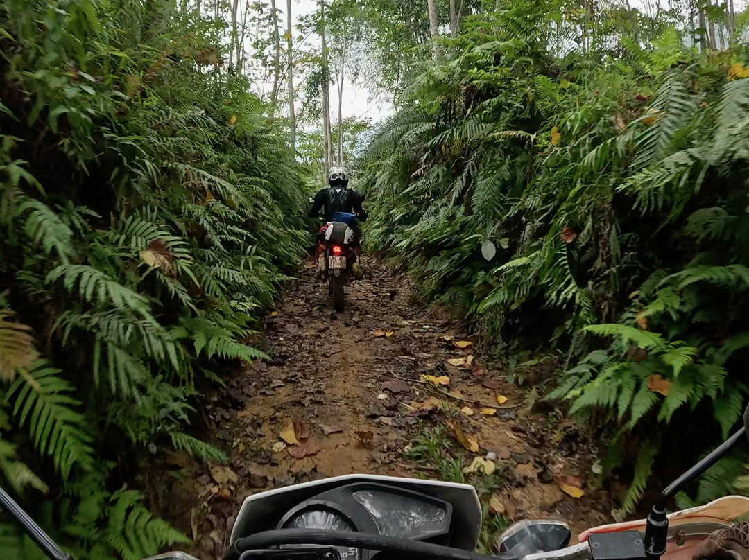 Vietnam Motorbike Tour Expert-河内必去景点