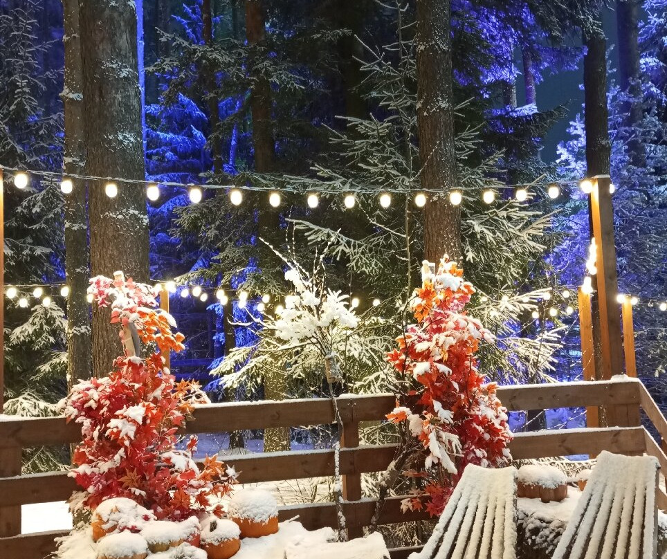 Alpaca Park-Mistolovo必去景点