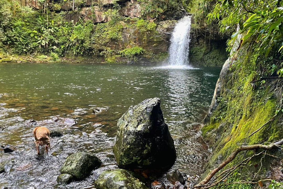 Poço das Andorinhas-Tres Cachoeiras必去景点