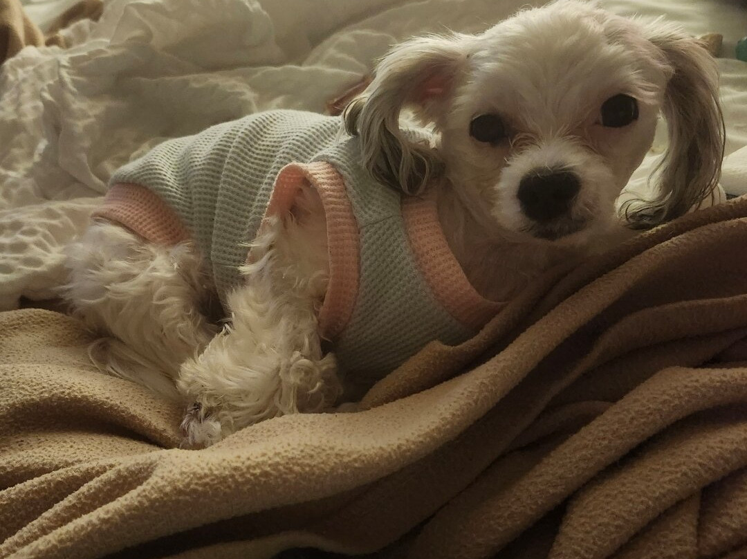 Extended Stay America - Mt. Olive - Budd Lake主图