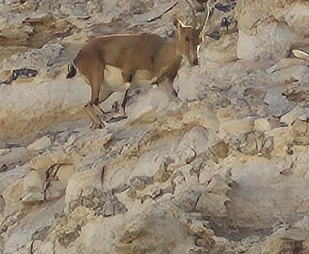 Zin River-贝尔谢巴必去景点