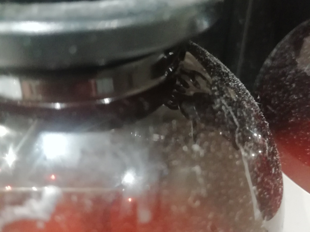 瓦拉多利巴拉格NH酒店主图