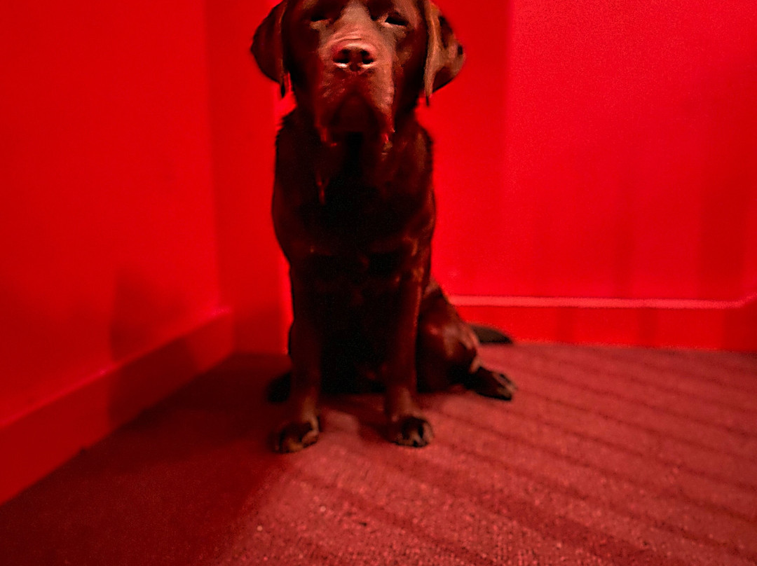 萨拉托加市中心汽车旅馆主图