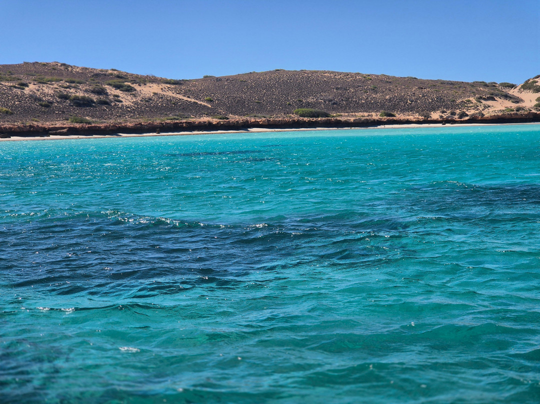 Ningaloo Reef Dive-珊瑚湾必去景点