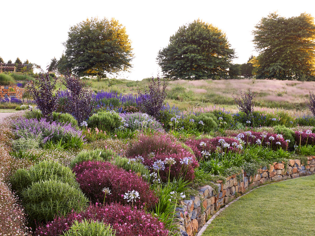 Brahman Hills Gardens, Spa, Hotel & Villas主图