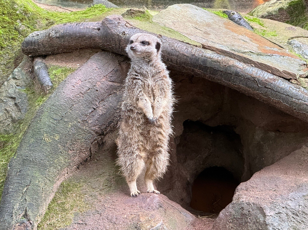 Shaldon Wildlife Trust-Shaldon必去景点