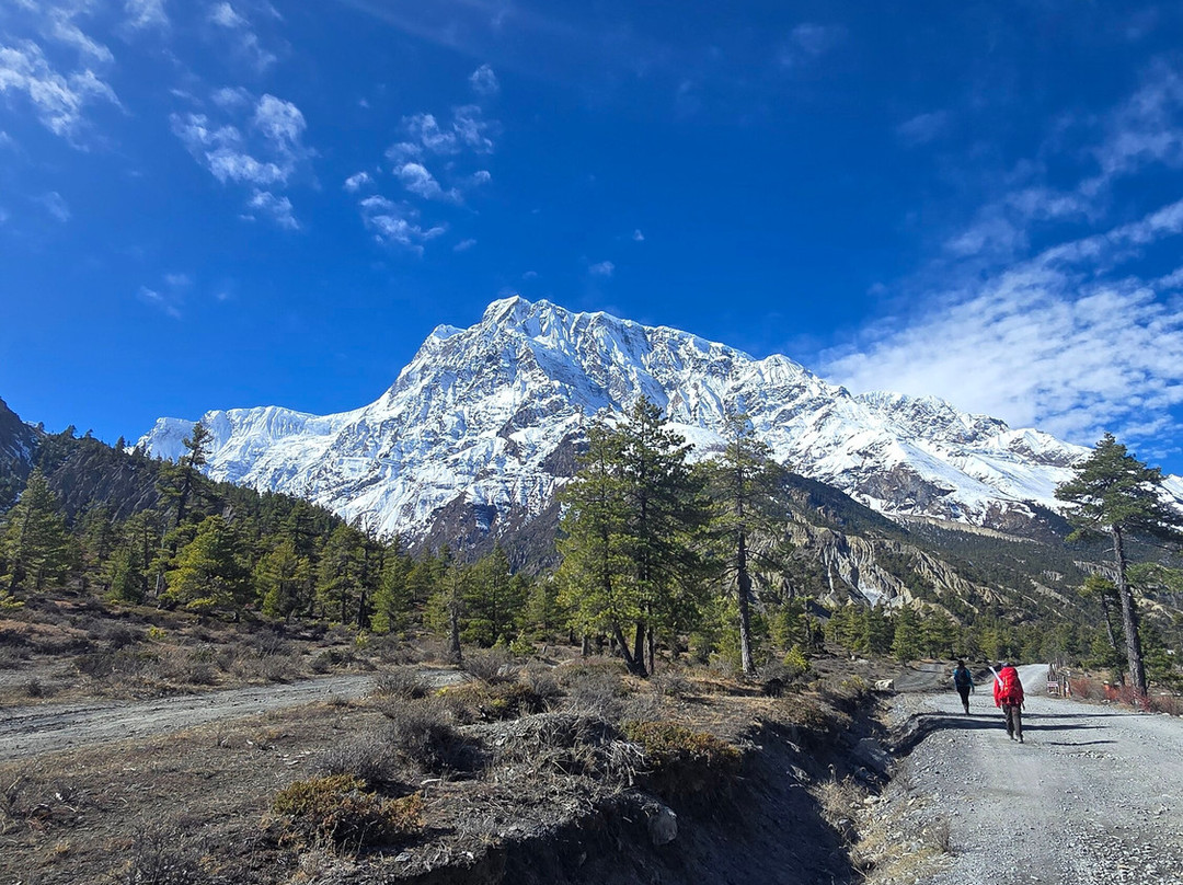 Unique Himalaya Treks And Expeditions-加德满都必去景点