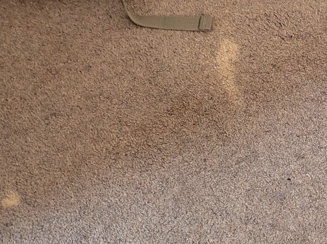 戴斯塞奇莫尔酒店主图