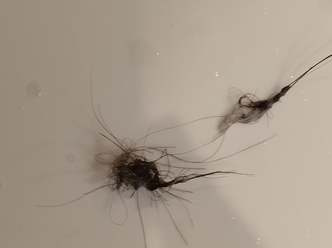 Posada la Leyenda主图