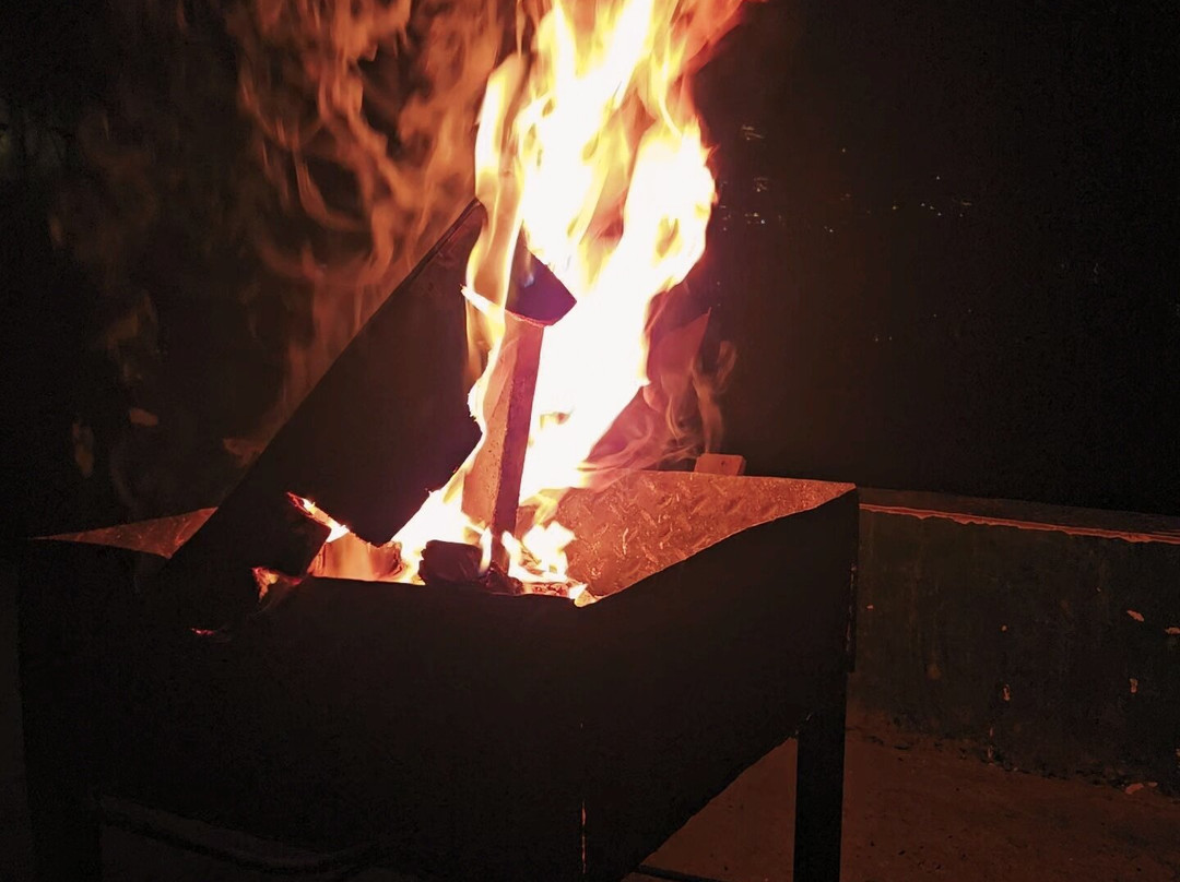 Naturevilas Sarovar Portico Manali主图