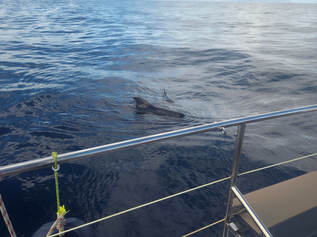 White Tenerife-奥德杰海岸必去景点