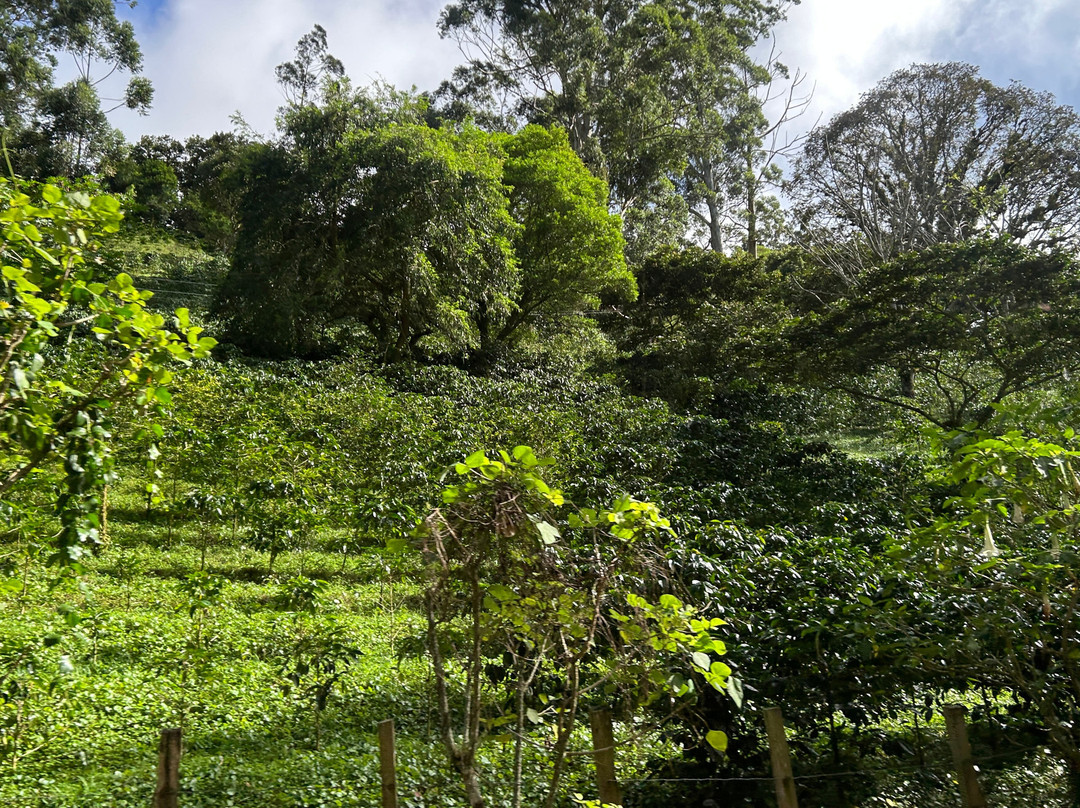 Panama Relocation Tours-波魁特必去景点