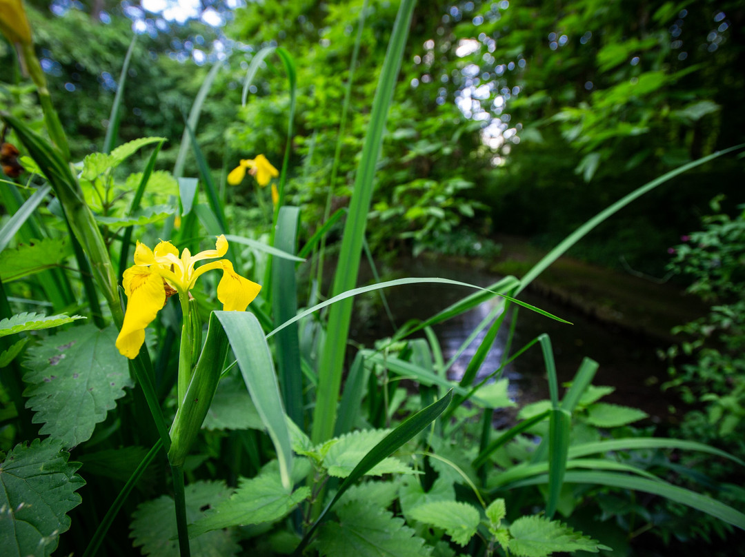Parco Giardino Tenuta S. Apollonio-Castel Goffredo必去景点