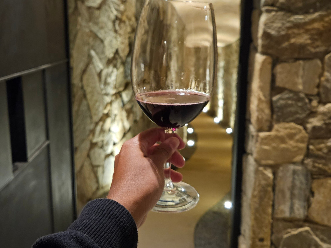 Vinícola Família Eloy-Areal必去景点