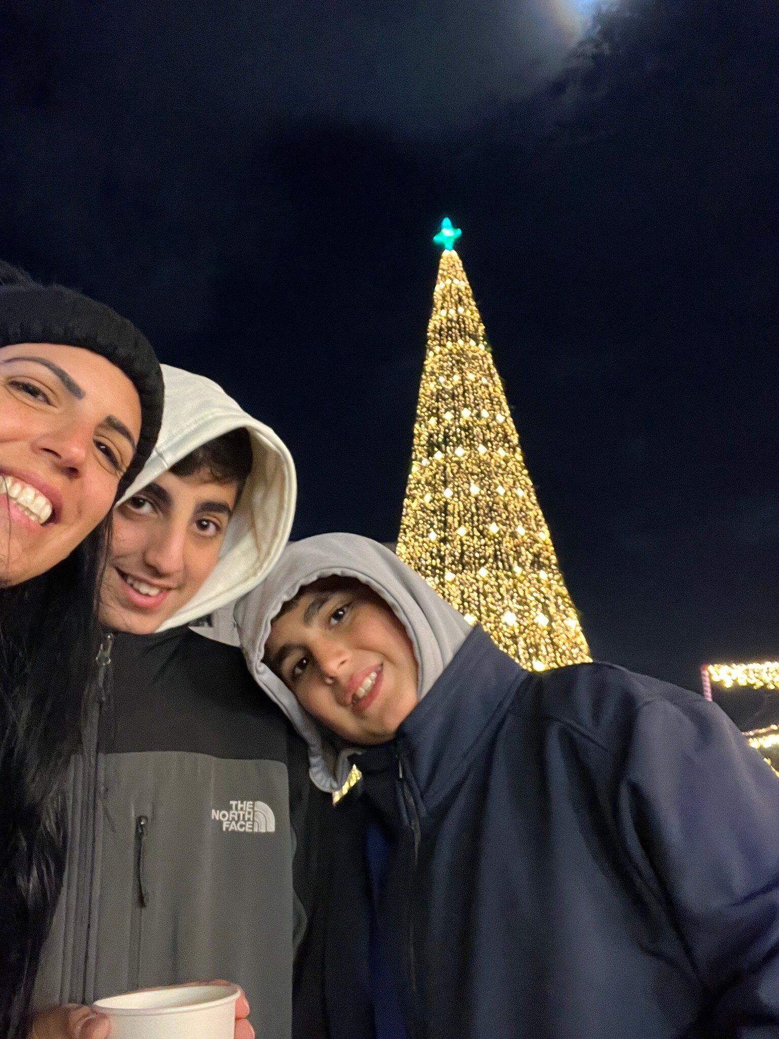 Hilton Garden Inn Bucharest Old Town-官方