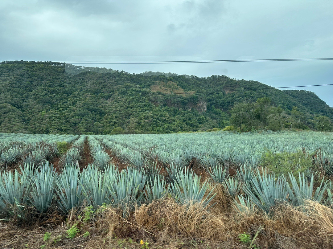 Vallarta Adventures-新瓦雅塔必去景点