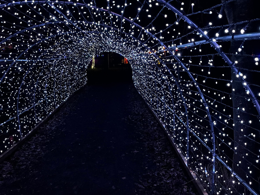 Heritage Wood-阿什伯恩必去景点