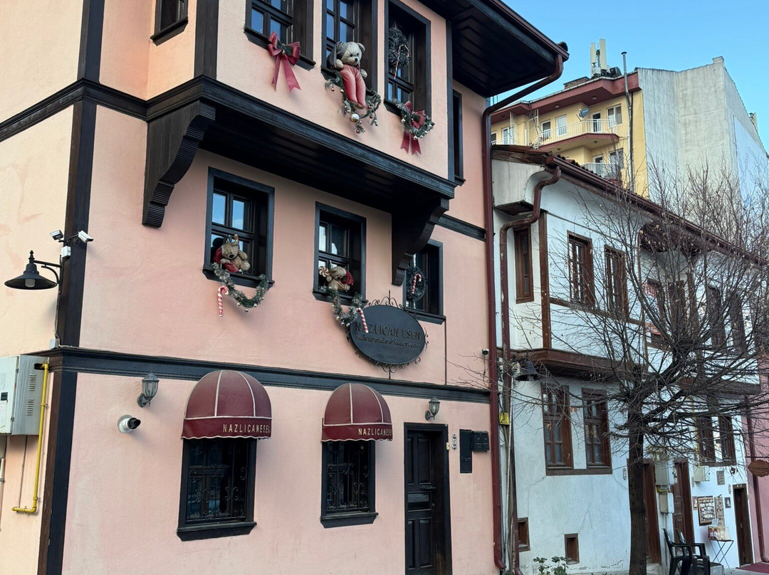 Odunpazari Evleri-埃斯基谢希尔必去景点