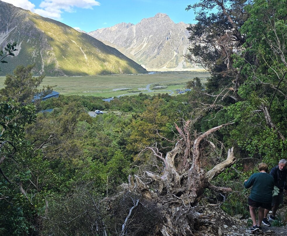 Glencoe Walk-库克山国家公园必去景点