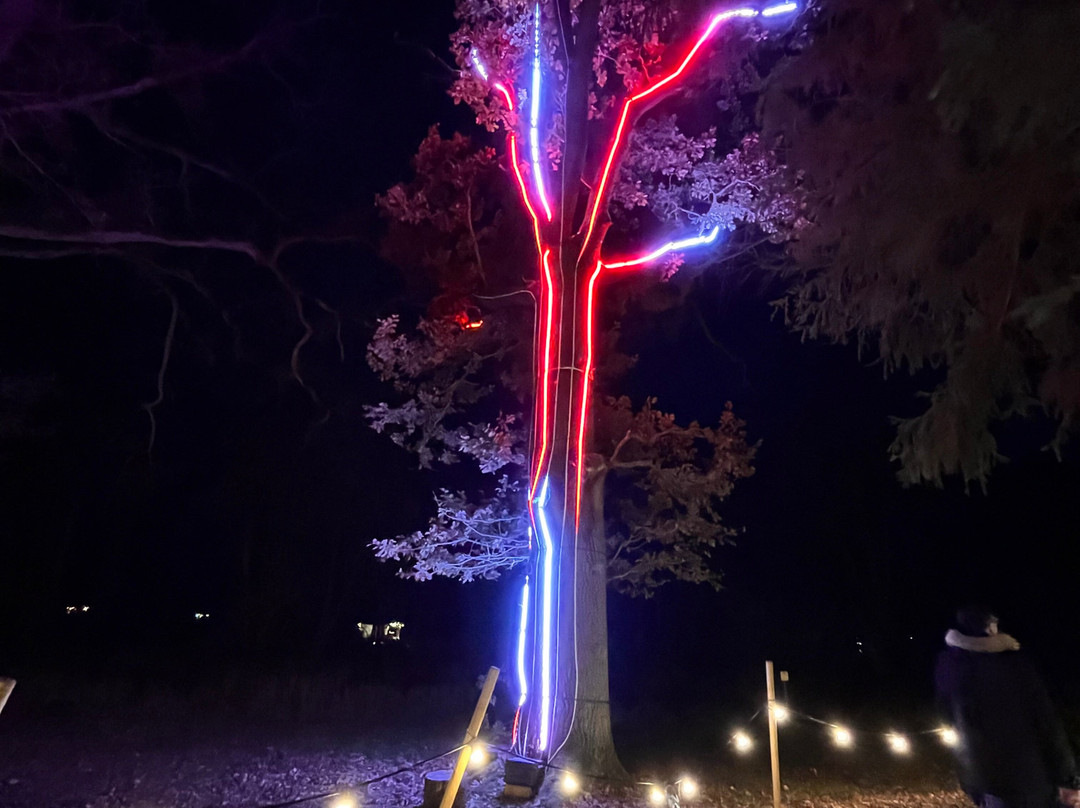 Audley End Miniature Railway-Saffron Walden必去景点