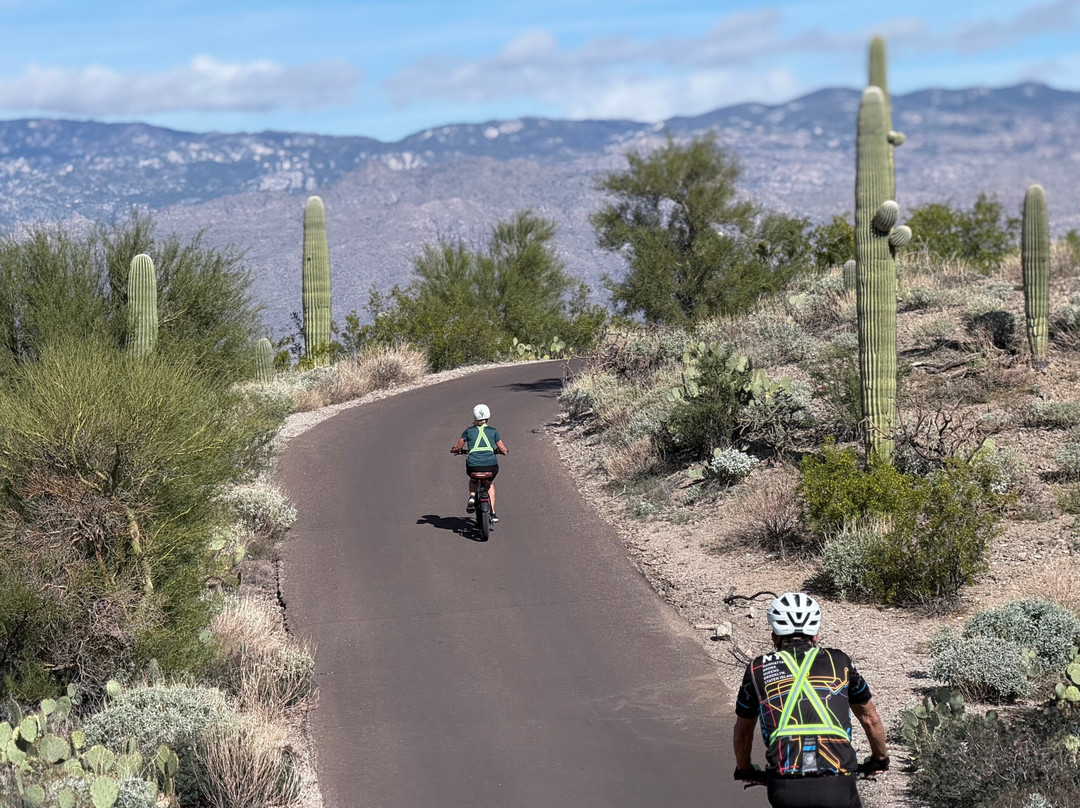 Tucson E-Bike Adventures-图森必去景点